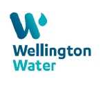 Chief Executive – Wellington Water